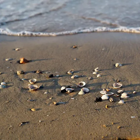 Апартаменти Cozy In Bibiones Area Бібіоне