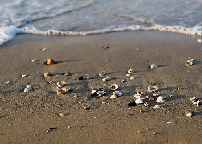 Апартаменти Cozy In Bibiones Area Бібіоне